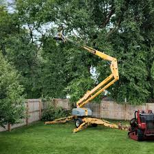 How Our Tree Care Process Works  in  Ballston Spa, NY